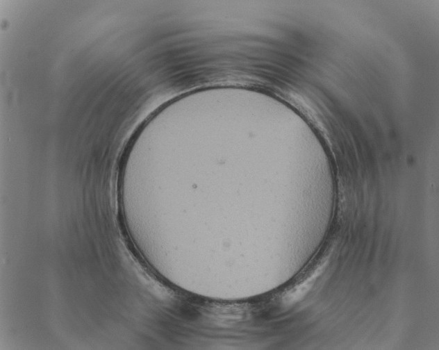 X0000088400843200706191355