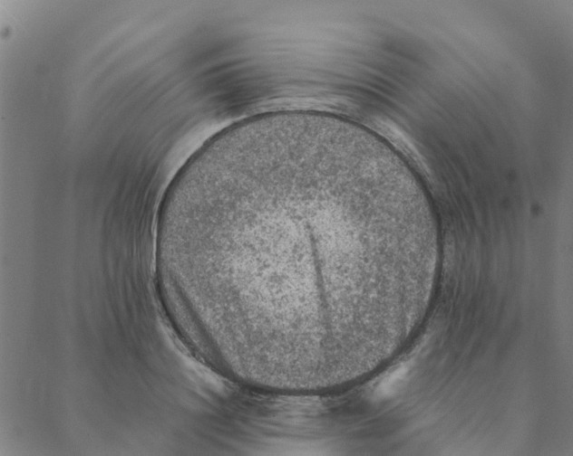 X0000088400844200706191355