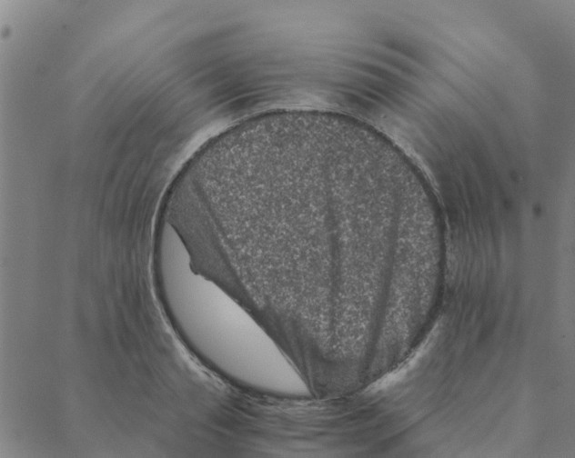 X0000088400845200706191355