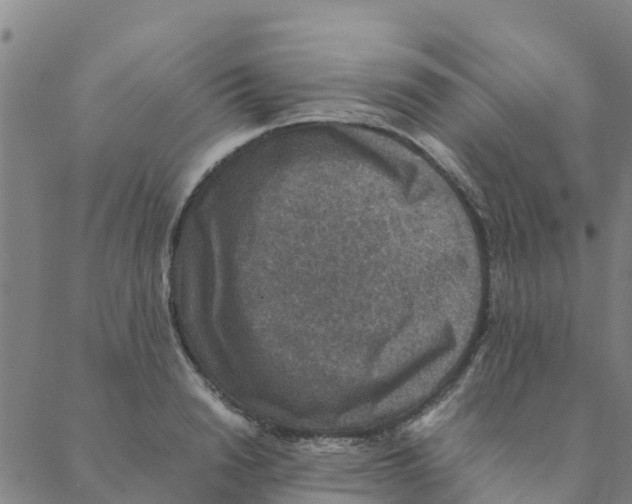 X0000088400846200706191355