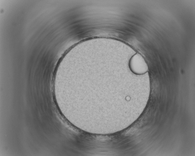 X0000088400848200706191355