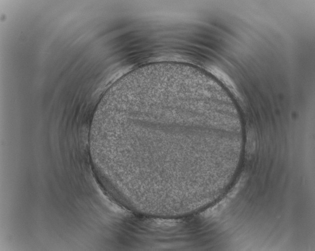 X0000088400849200706191356