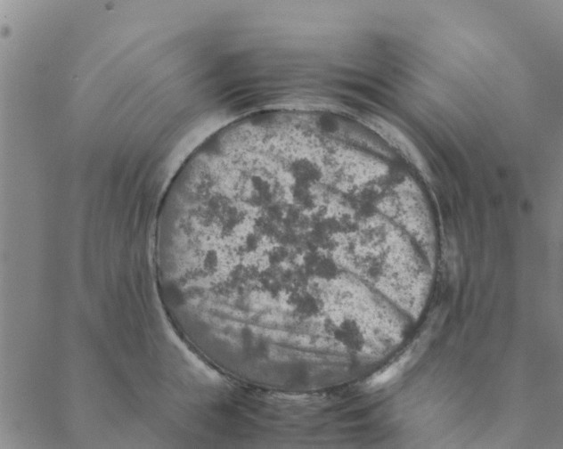 X0000088400855200706191356