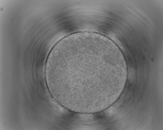 X0000088400856200706191356