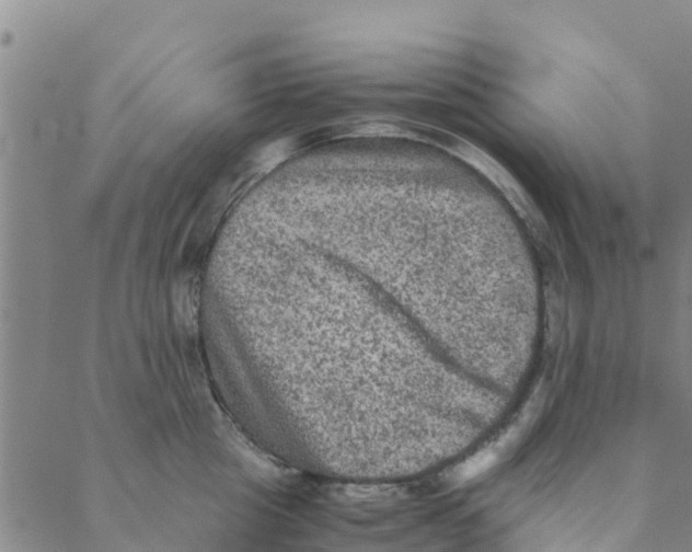 X0000088400857200706191356