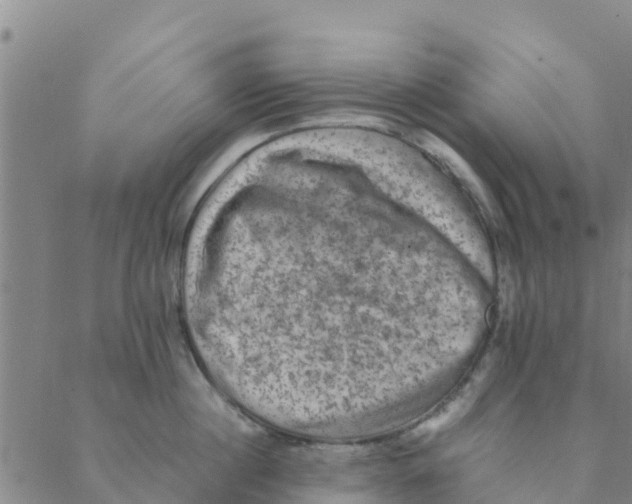 X0000088400860200706191356