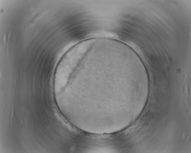 X0000088400864200706191356