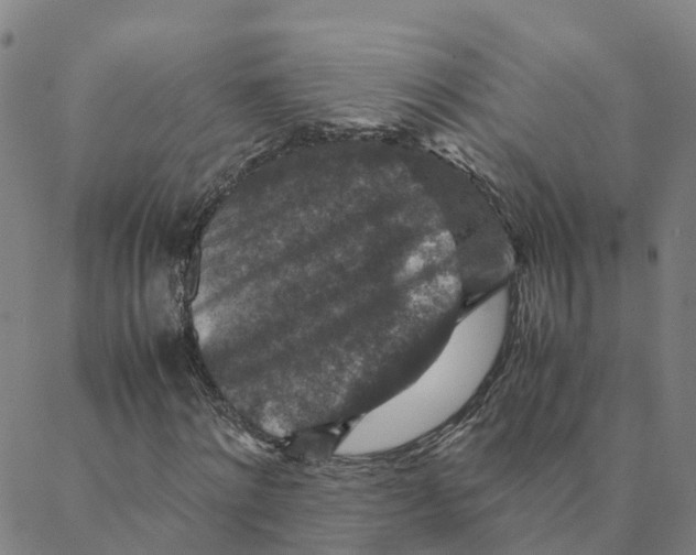 X0000088400868200706191355