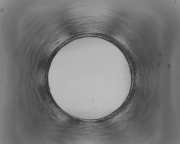 X0000088400873200706191355