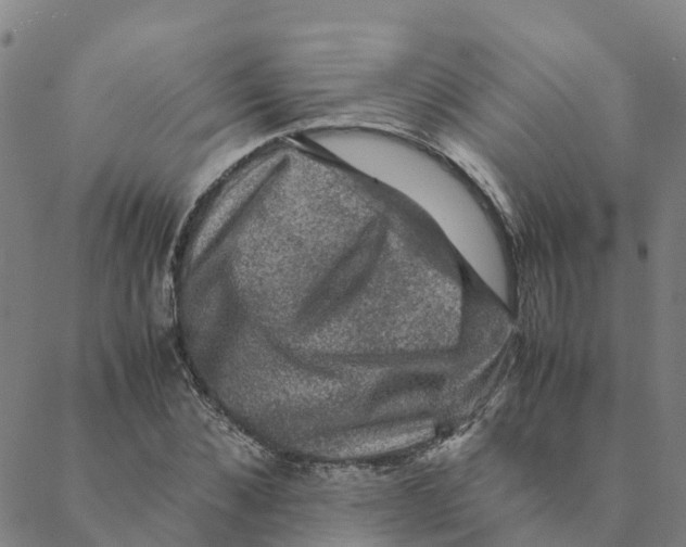 X0000088400876200706191355