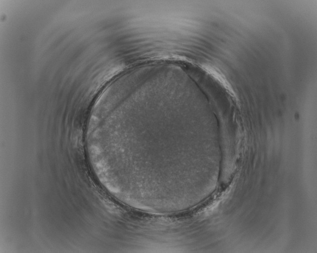 X0000088400881200706191355