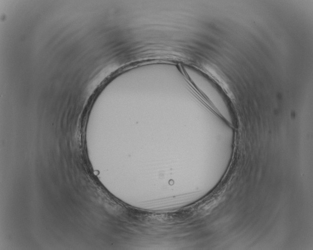 X0000088400883200706191355