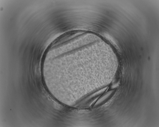 X0000088400884200706191355