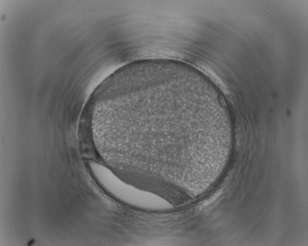 X0000088400885200706191355