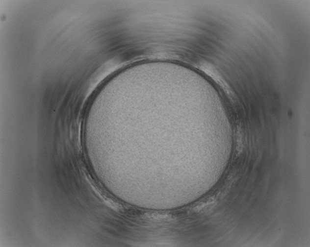 X0000088400886200706191355