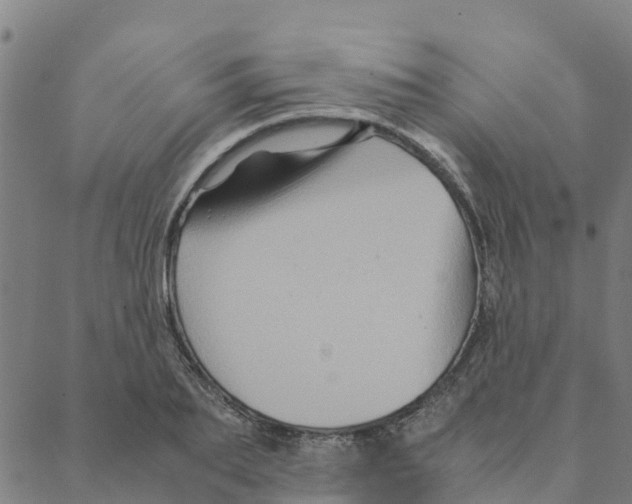 X0000088400887200706191355