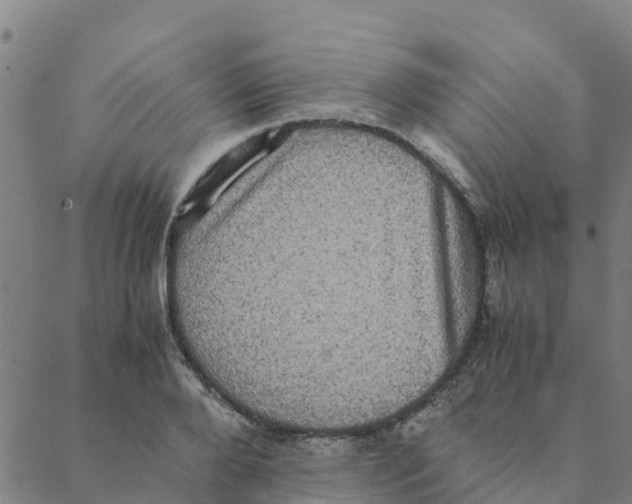 X0000088400888200706191355