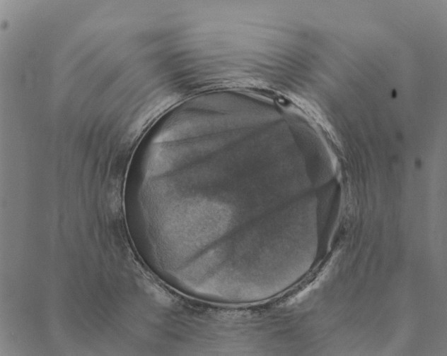 X0000088400889200706191355