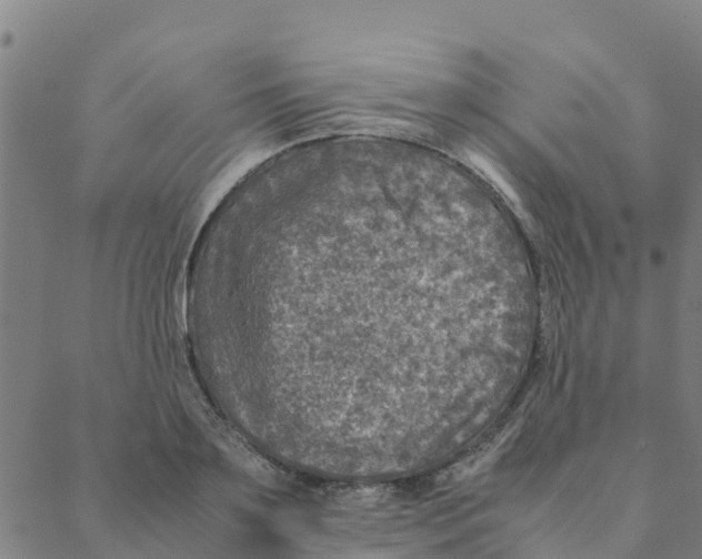 X0000088400891200706191355