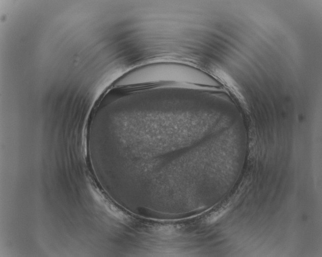 X0000088400892200706191355