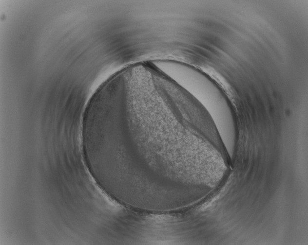 X0000088400894200706191355