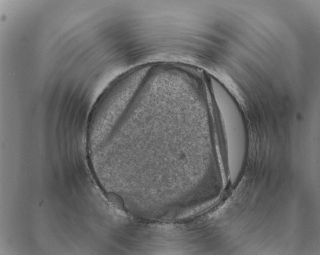 X0000088400896200706191354