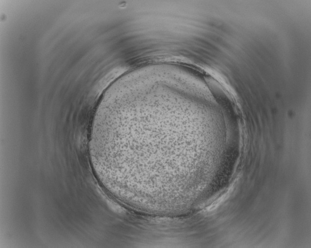 X0000088400897200706191354