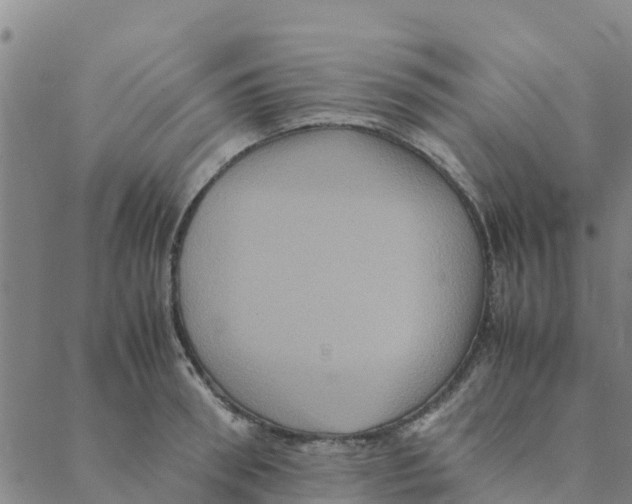 X0000088400898200706191354