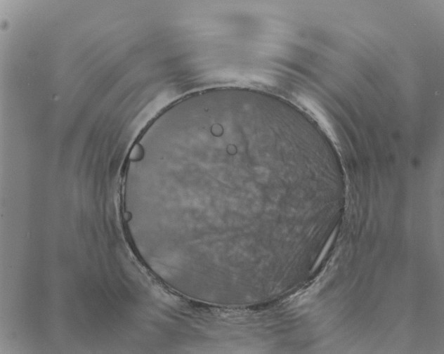 X0000088400899200706191354