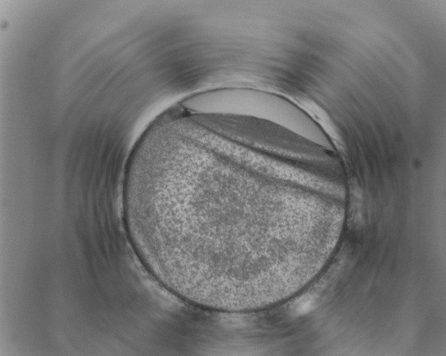 X0000088400904200706191354