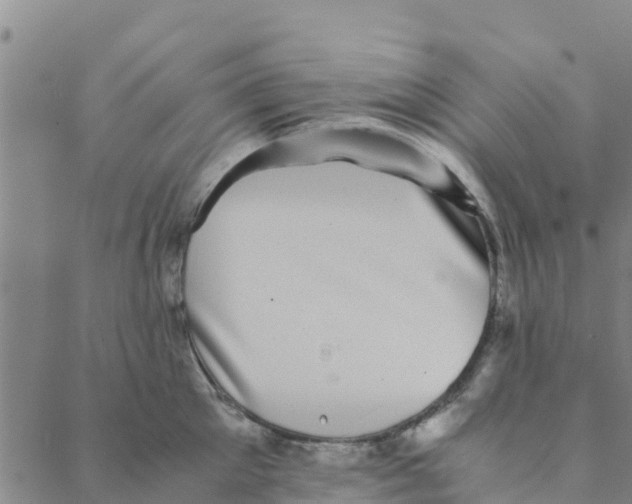 X0000088400905200706191354