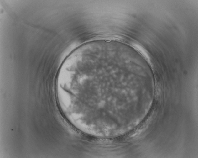 X0000088400907200706191354