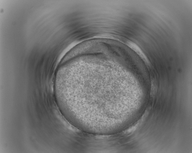 X0000088400908200706191354