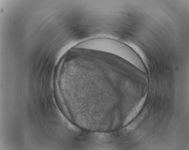 X0000088400910200706191354