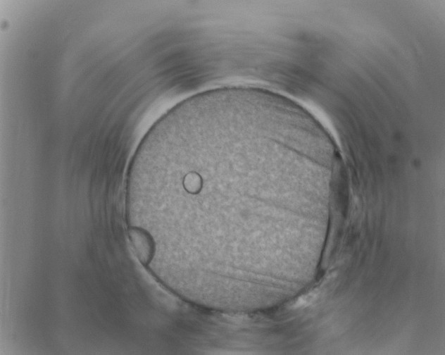 X0000088400911200706191354