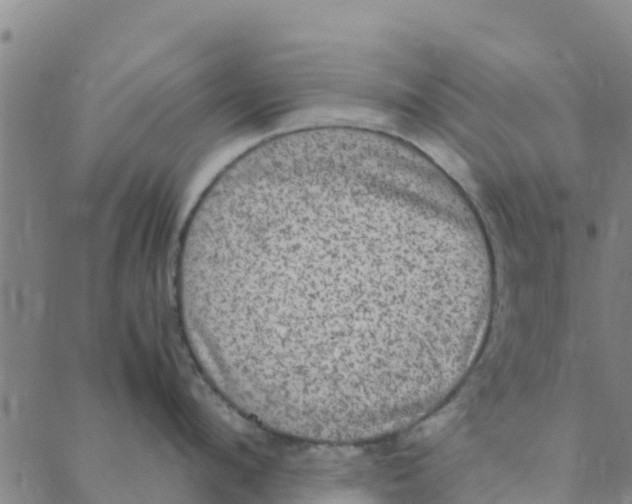 X0000088400912200706191354