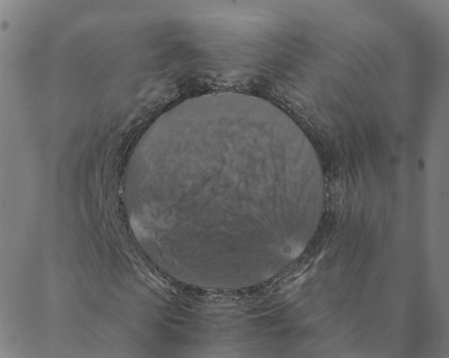 X0000088400913200706191353