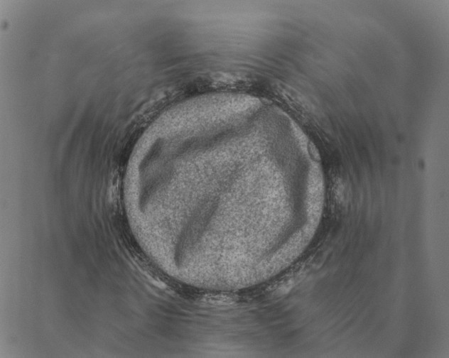 X0000088400914200706191353