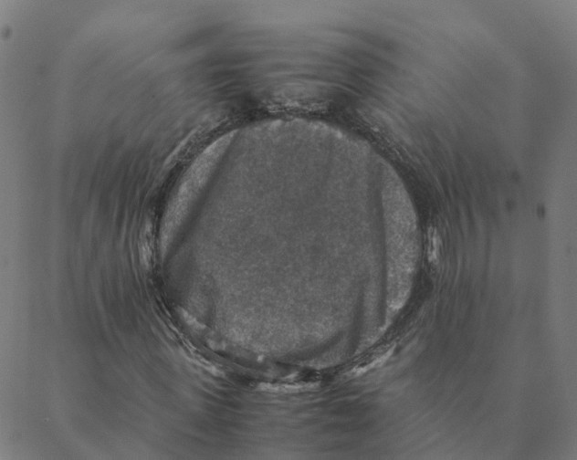 X0000088400915200706191353