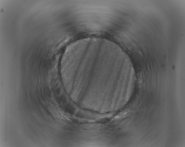 X0000088400916200706191353