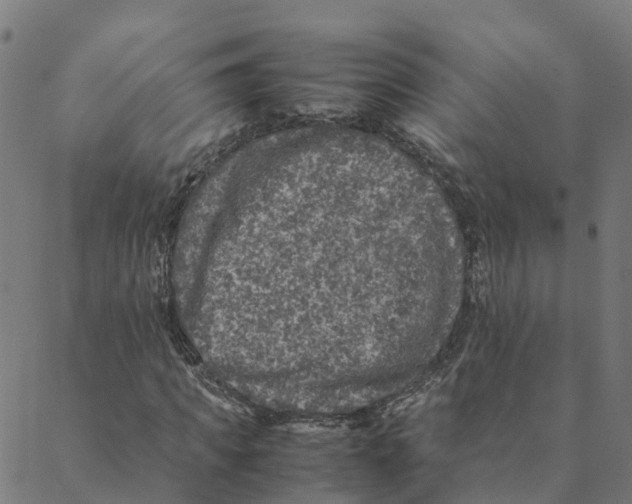 X0000088400917200706191354