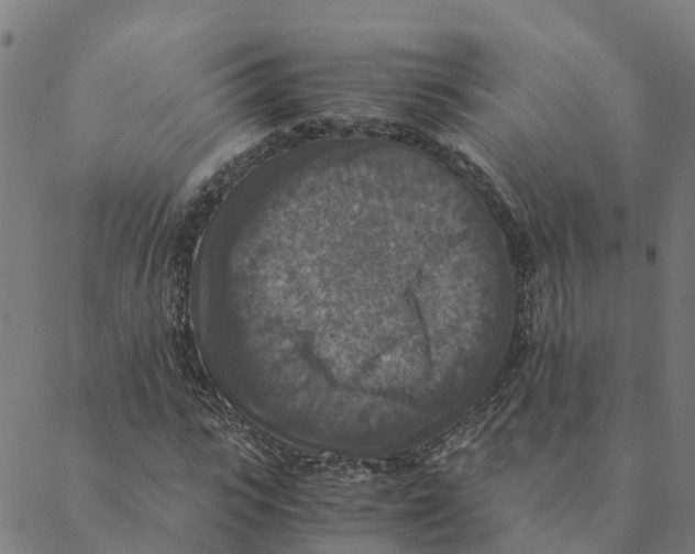 X0000088400919200706191354