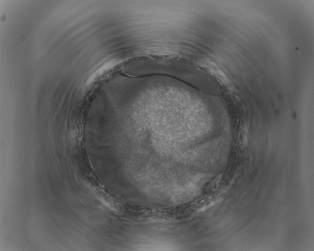 X0000088400920200706191354