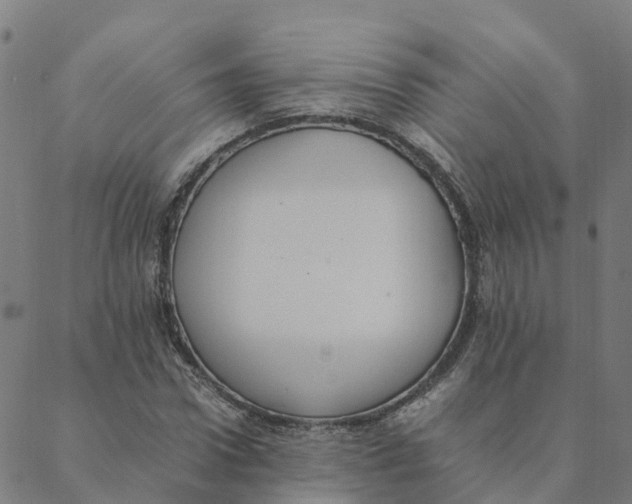 X0000088400922200706191354