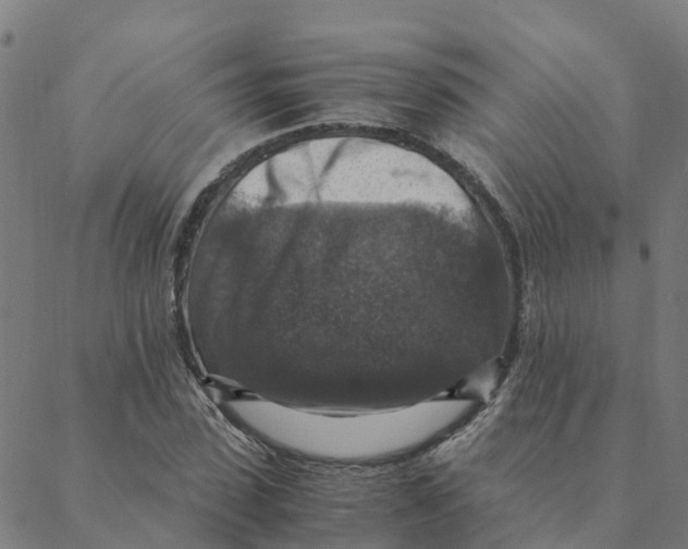 X0000088400923200706191354