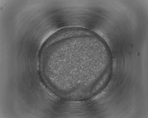 X0000088400925200706191354