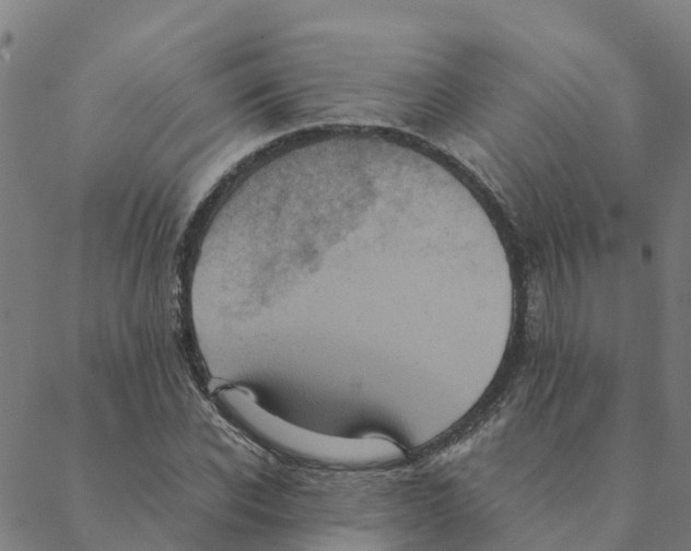 X0000088400926200706191354