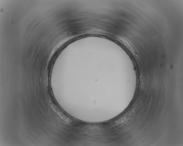 X0000088400931200706191354