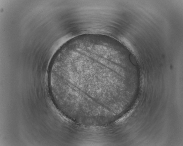 X0000088400932200706191354