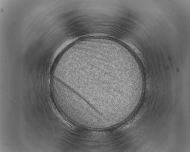 X0000088400933200706191354